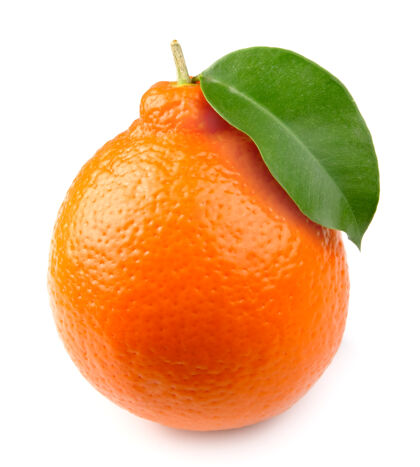水果带叶子的甜橙子天然有机柑橘
