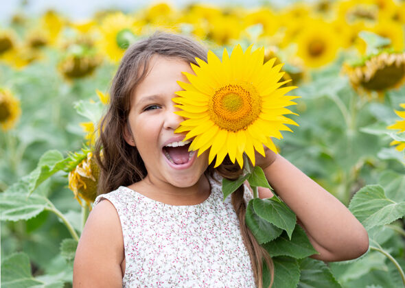 阳光笑容可掬的夏日高加索小姑娘抱着向日葵在身边向日葵场孩子快乐童年