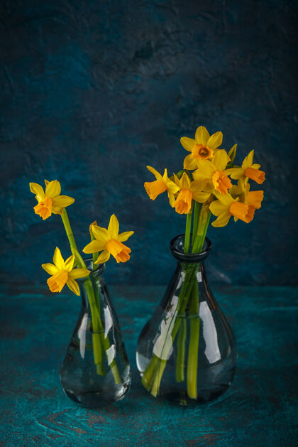 园艺明亮的春天黄色玻璃花瓶微型水仙花花园开花季节