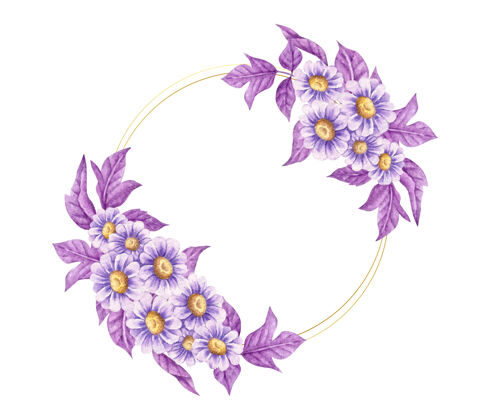 浪漫优雅的蓝色和紫色花框隔离在白色上花植物春天