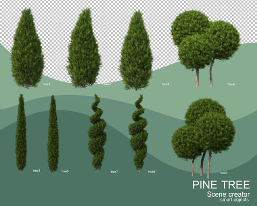 三维渲染各种松树排列的3d渲染松树插图符号