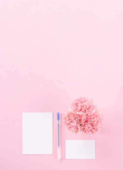 礼物粉色康乃馨的俯视图 背景是粉色的母亲节花礼物节日笔