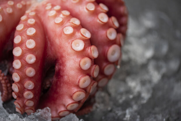 健康冰上鲜章鱼和深色背景 煮整条章鱼触角海鲜鱿鱼墨鱼吃自然吸盘