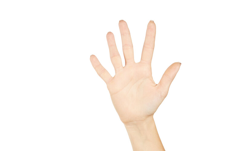 手掌张开手的白人女性palm.编号五点五分一怀特做手势概念手腕停止男性