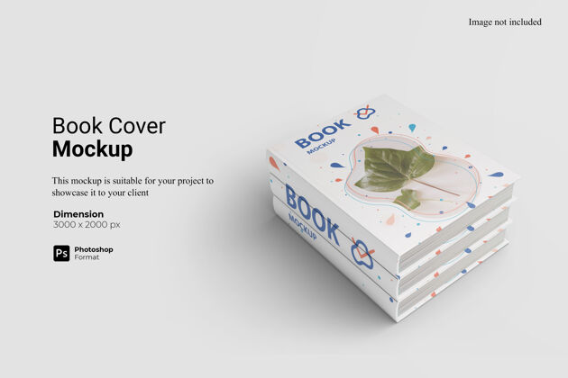 三维模型书籍封面模型设计孤立演示教育小册子