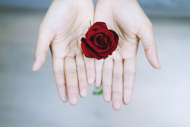 感情在情人节红玫瑰快乐折叠木头