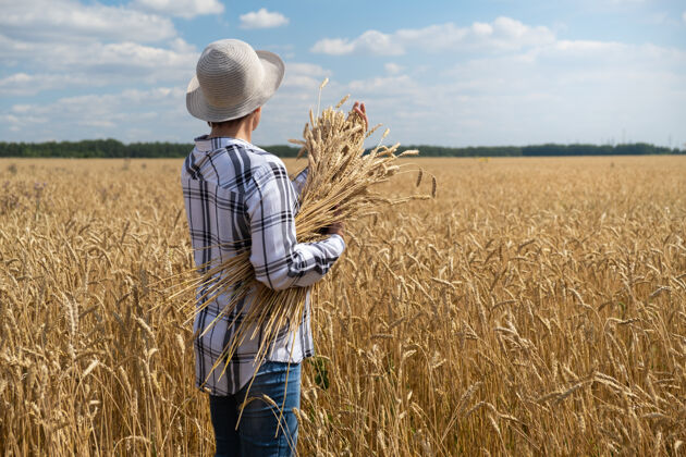 景观田里的女人 手里拿着小麦花束收获自然太阳