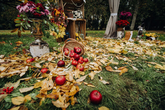 秋季装饰秋天的婚礼在绿色的街道上举行草坪装饰鲜花拱形的仪式文化婚礼登记