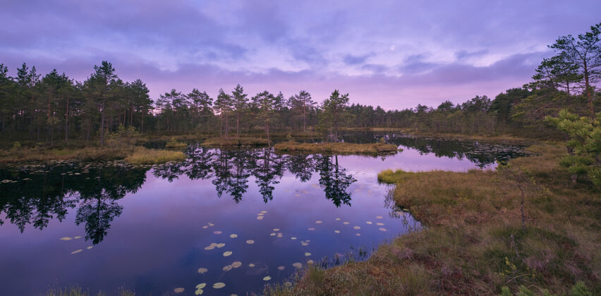 五颜六色五彩缤纷的景色 黎明时分的沼泽柔软水平静