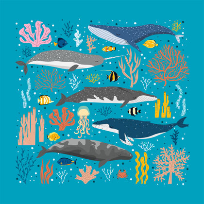 艺术鲸鱼和不同颜色的海藻珊瑚漂亮海底的鲸鱼海报海洋卡通人物植物