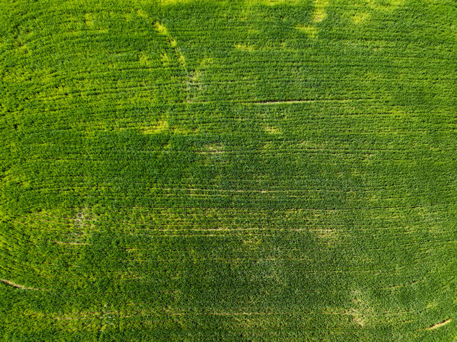 景观园内种植地鸟瞰图乡村概念农业部活动.照片从无人机上草地户外草