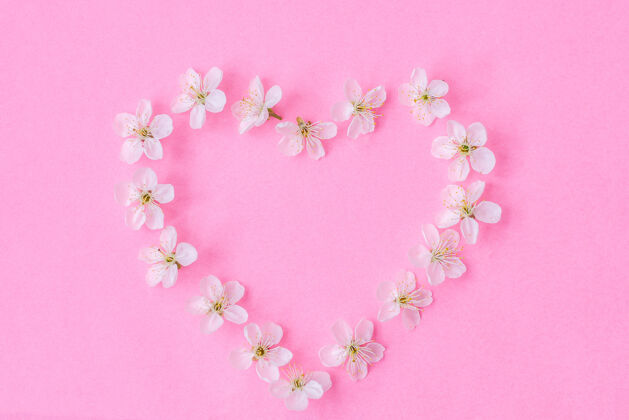布局花花环由苹果树上的花朵做成 粉色背景平展花瓣樱桃