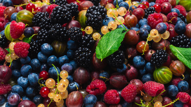 黑莓醋栗 蓝莓 桑葚 覆盆子 白醋栗和红醋栗分离在白色背景上花园美味维生素