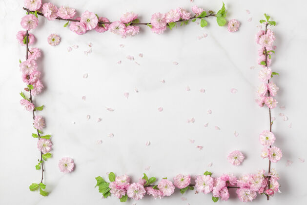爱白色大理石上春天粉红色樱花枝制成的框架背景.平坦躺着视图.假日或婚礼版面复制空间自然头顶顶视图