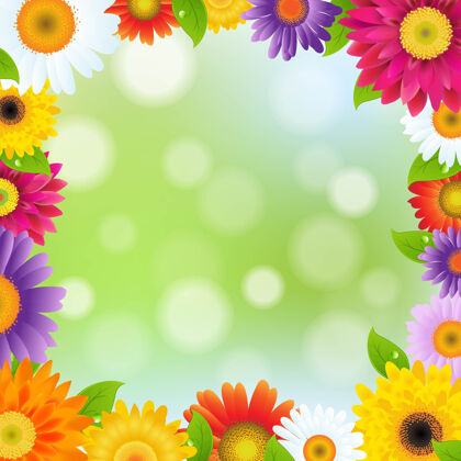 花彩色格伯斯花框架与梯度网格插图开花植物学拼贴