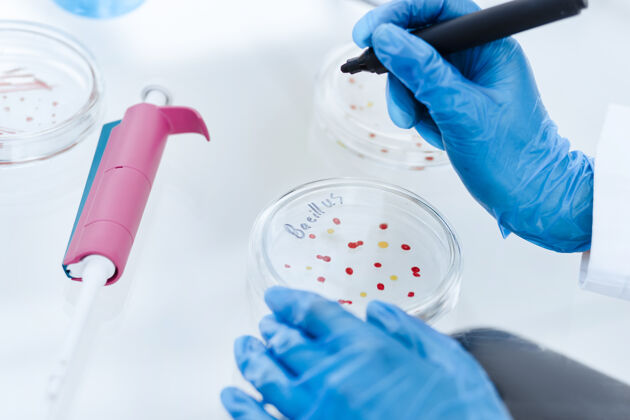 实验室关闭向上科学家在培养皿上标记病毒细菌科学还有健康化学医学手套