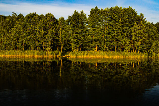 夜晚黎明时分在布拉斯拉夫湖国家公园森林中俯瞰博尔塔湖 这是白俄罗斯最美丽的地方早晨湖泊欧洲