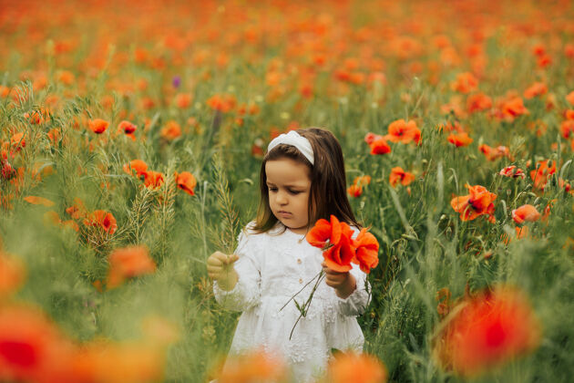 夏日可爱的小女孩在罂粟地与红色罂粟花束在手风景自然天堂