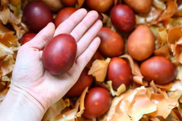 自然女人的手拿着复活节彩蛋洋葱皮外壳洋葱零浪费