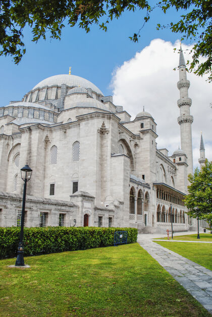 旅游苏莱曼尼耶清真寺的背景是蓝天绿叶清真寺拱门伊斯坦布尔