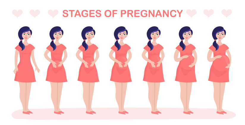 母性妇女怀孕阶段和胎儿发育身材腹部女性