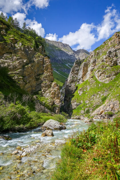 背景多伦河在瓦努瓦兹国家公园阿尔卑斯山谷 萨伏伊 法国阿尔卑斯山冰川景观牧场
