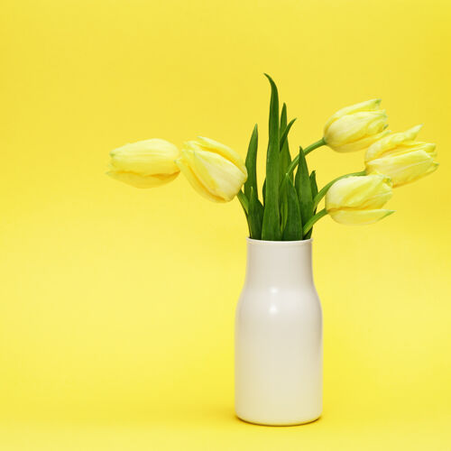 场景春天的郁金香花在白色的黄色陶瓷花瓶上最小自然装饰