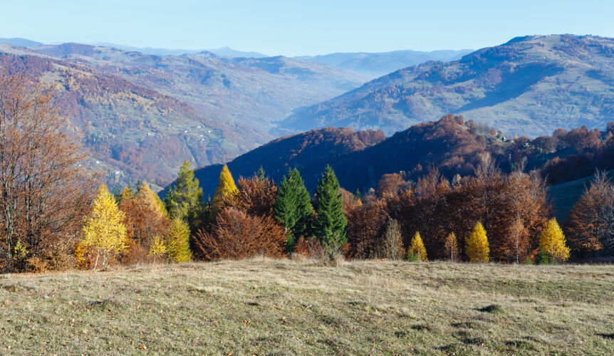 山坡山坡上五彩缤纷的树木和身后秋日的雾山树叶季节薄雾
