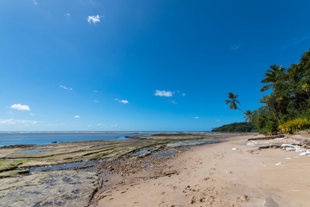 天堂巴西巴伊亚岛上的热带海滩 有倾斜的椰子树热带海滩阳光拉丁美洲