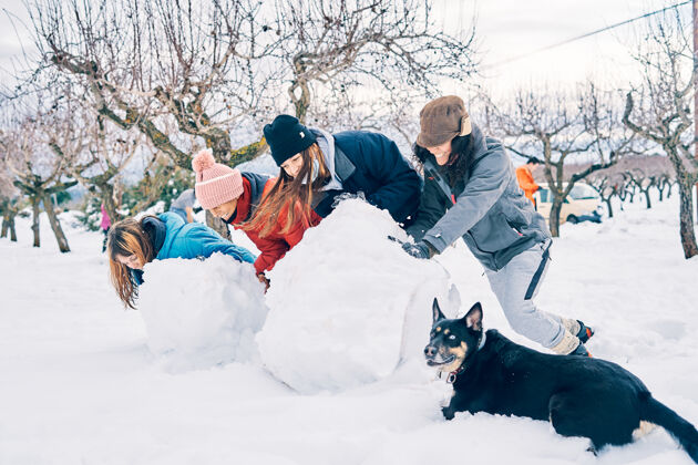 户外四个热情的年轻白人女孩和一只每种颜色都有一只眼睛的狗 在雪地里玩大雪球女孩天气快乐