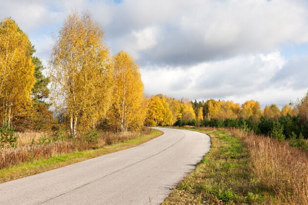 自然在阳光明媚的日子里 在秋林的路上弯腰秋天秋天沥青