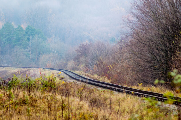透视铁路穿过森林在铁路轨道附近的秋林里 薄雾蒙蒙的早晨铁路自然季节