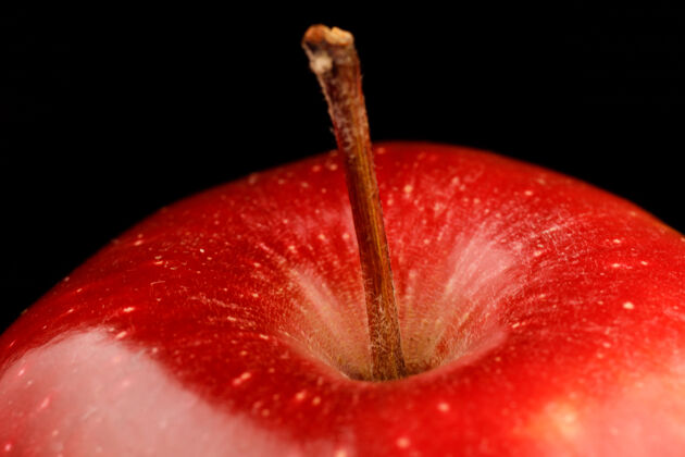 多汁红色首席品种红色美丽的苹果特写食物成熟无人问津