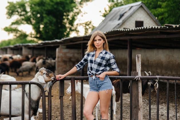 牛奶一个年轻漂亮的女孩和山羊以及其他动物在牧场上摆姿势农业 畜牧业年轻女人德克萨斯州