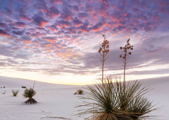 黎明美国新墨西哥州的白沙沙丘沙丘探索风景