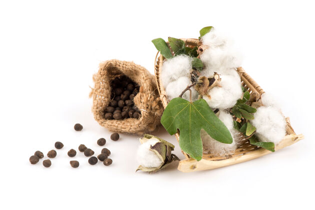 编织棉花或棉花和种子分离在白色种子羽绒棉花