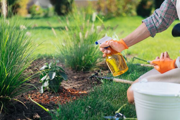 积极性带着扩散器的女人穿着方衬衫 戴着橙色手套 拿着扩散器在植物上洒水的有爱心的女人可持续性房子花盆