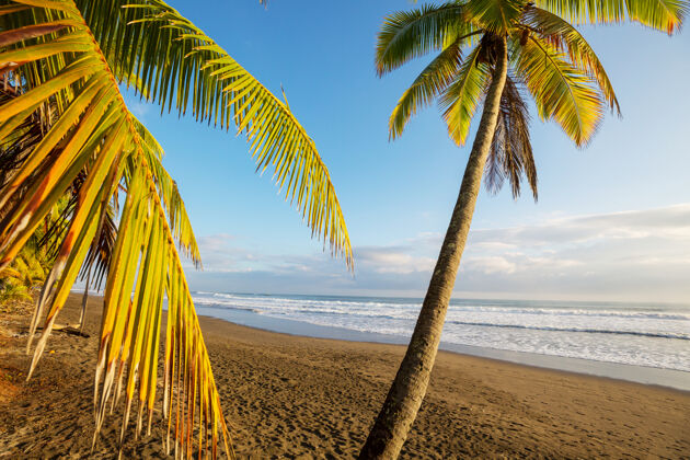 海滩哥斯达黎加美丽的热带太平洋海岸太平洋海岸沙漠