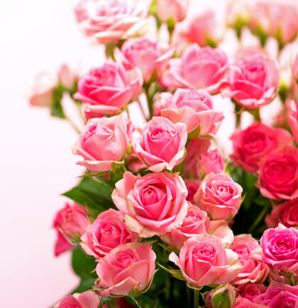 花瓣一束粉红色的玫瑰放在篮子里 在白色的背景上隔离开来爱浪漫花