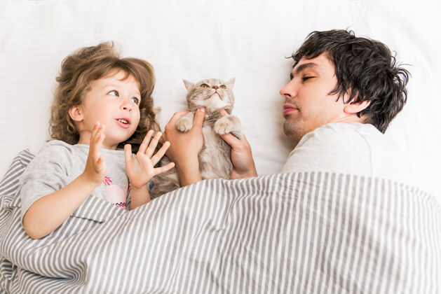 爸爸可爱的小女孩躺在沙发上和爸爸和猫玩欢呼灰色成人