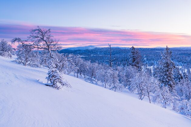 森林挪威日落时分 一片覆盖着白雪的森林令人叹为观止冬天山风景