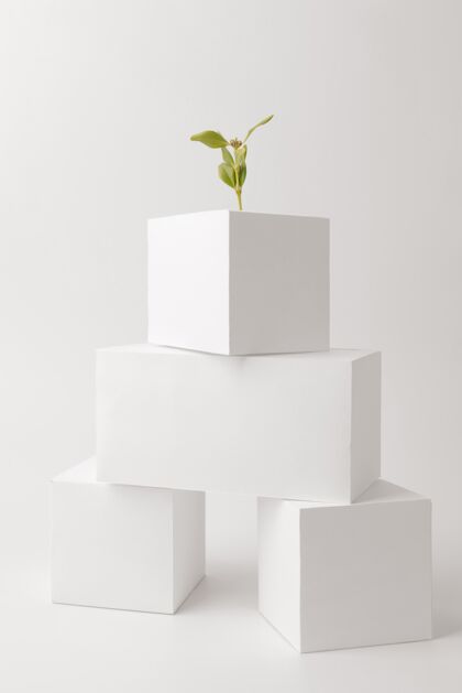 空白以植物生长为可持续发展理念的空白几何形状生态垂直几何形状