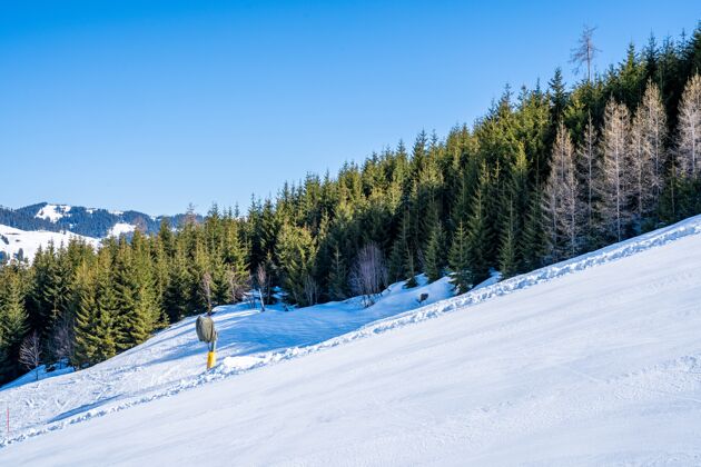滑雪白天 滑雪胜地旁边雪山上的高大树木的景色远足冰阿尔卑斯山