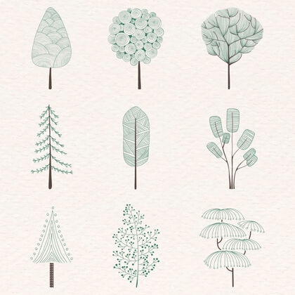 松树可爱的松树套装植物森林叶