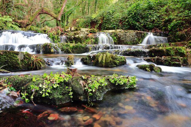 瀑布丛林中的小瀑布和被植物覆盖的大石头的美丽景色生态花园湖泊