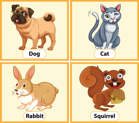 卡片动物教育英语单词卡猫狗学习