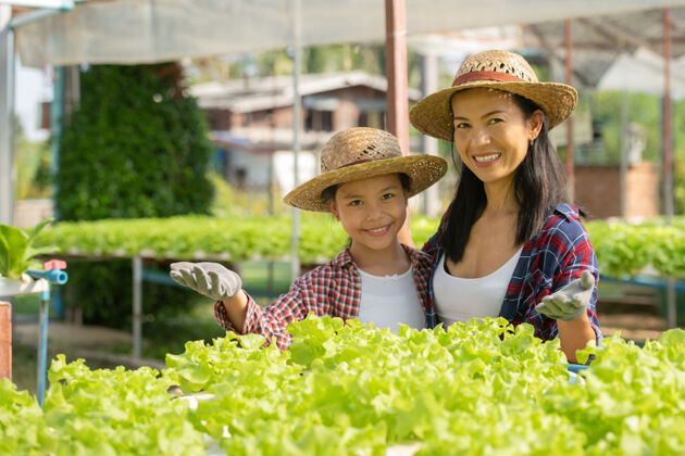农业亚洲母女一起在农场里帮助采集新鲜的水培蔬菜 家庭生活方式中家庭农业的概念园艺和儿童教育新鲜有机生长
