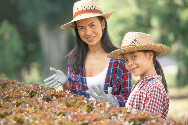 收获亚洲母女一起在农场里帮助采集新鲜的水培蔬菜 家庭生活方式中家庭农业的概念园艺和儿童教育培养自然健康