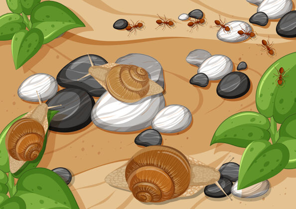 昆虫特写空中场景与许多蜗牛和蚂蚁蚂蚁卡通蜗牛