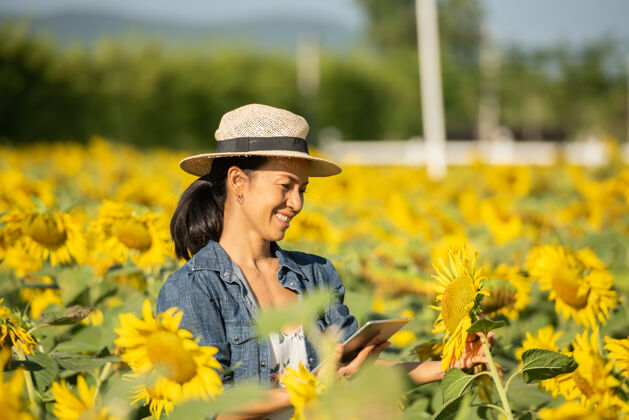 电脑农学家手里拿着一块写字板 在田里种向日葵 在网上销售 女孩在田里分析植物的生长情况 现代技术 耕作观念花种植园互联网